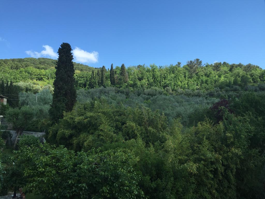 Villa Nobili B&B Bagno A Ripoli Bagian luar foto